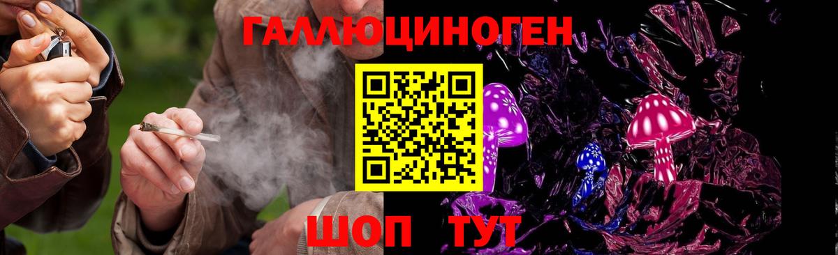 Псилоцибиновые грибы прущие грибы  Вход с VPN  Саянск 