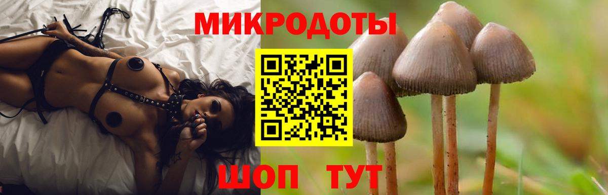 Галлюциногенные грибы мицелий Саянск
